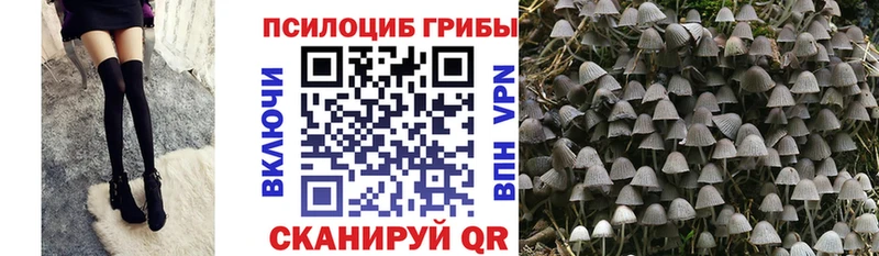 маркетплейс Telegram  Ейск  Галлюциногенные грибы мицелий  купить наркотики сайты 