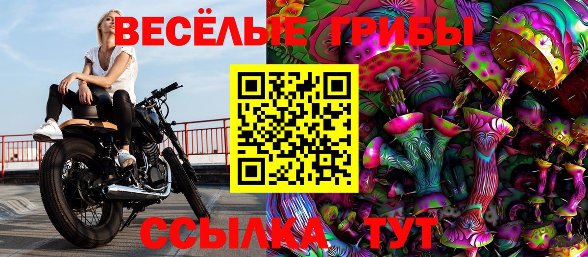 Ейск  Галлюциногенные грибы Magic Shrooms  Вход с VPN 