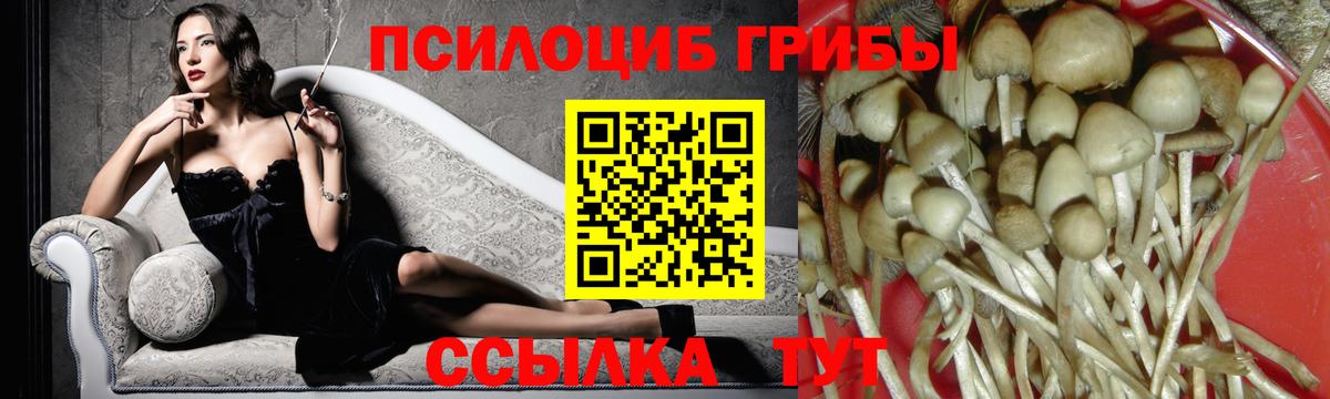 Как найти закладки?  Меф   NBOMe  Ейск  Alpha-PVP СОЛЬ кристаллы  Каннабис  ГАШ  Вход с VPN  Cocaine  Бошки Шишки 