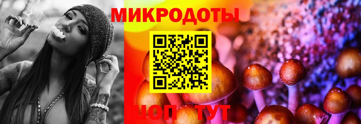 Галлюциногенные грибы прущие грибы Ейск